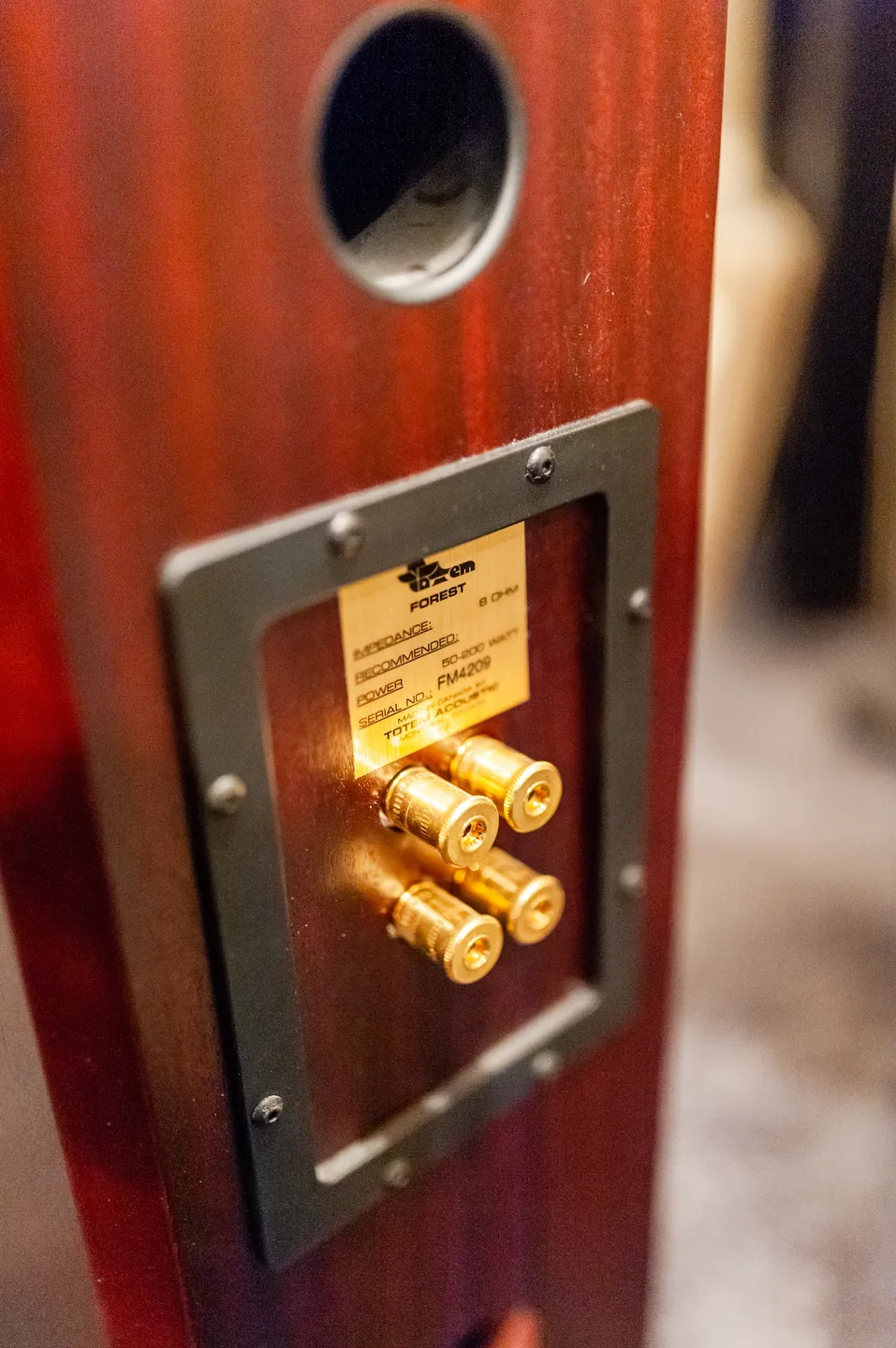 A close up of the door handle on a speaker